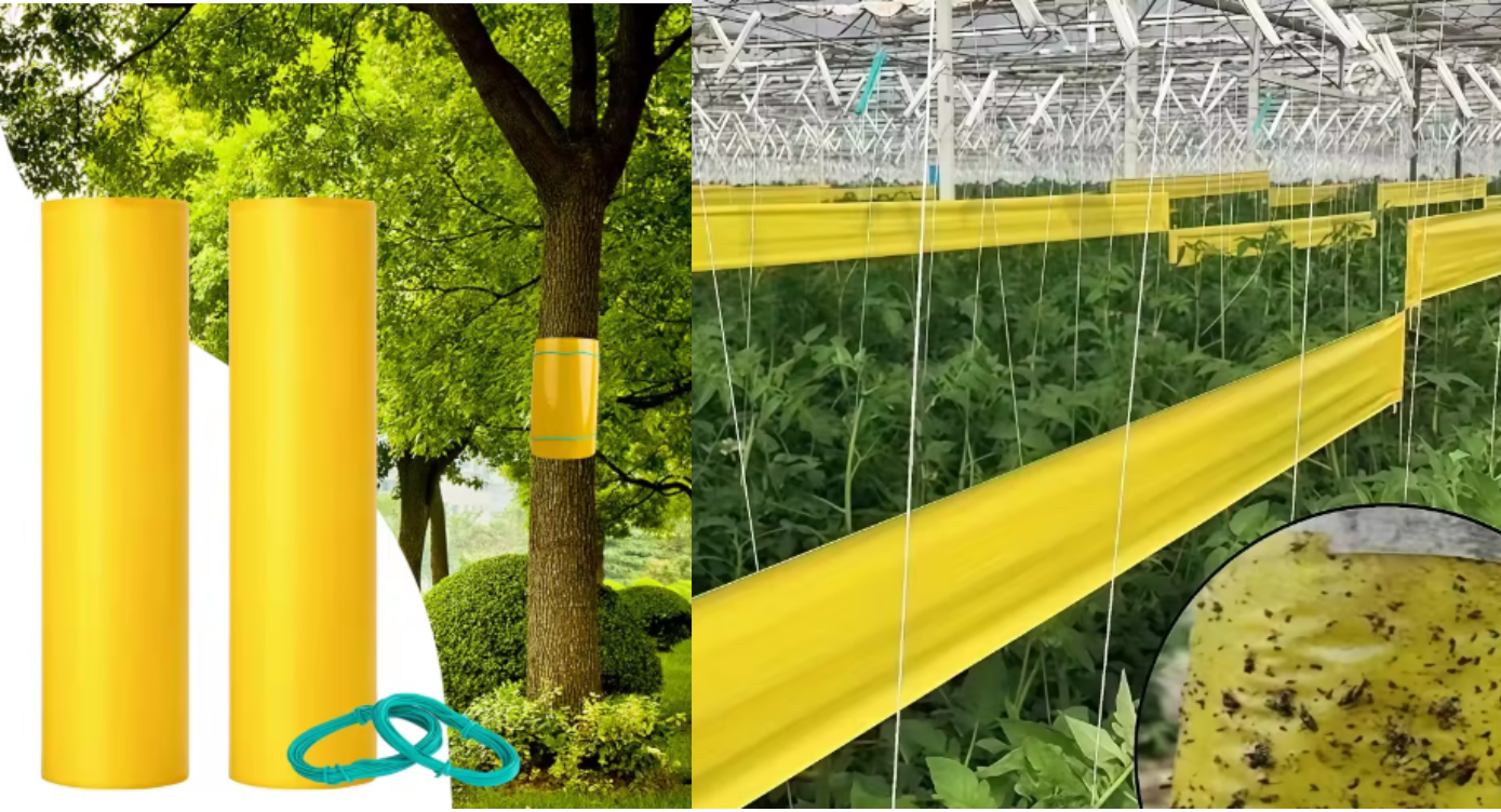 Trampa Adhesiva Amarilla en Rollo (20 cm x 100 m) – Control Etológico de Plagas